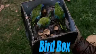 Bird Box Explained by an idiot