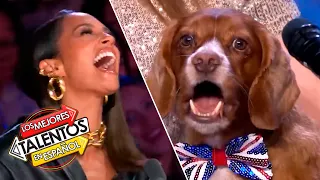 Perro CANTA “Breathe Slow” de Alesha Dixon | Audiciones Inolvidables | Britain's Got Talent