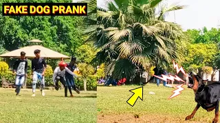 Fake Dog Bark Prank | Dog Barking Prank Run! | Dynamic Prank