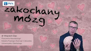 Zakochany mózg