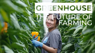 The Future Of Farming | Inside The World's Most FUN Greenhouse