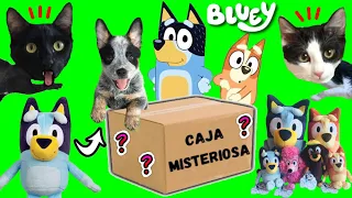 Abro la caja misteriosa de Bluey en español y construyo a los mejores amigos con Luna y Estrella