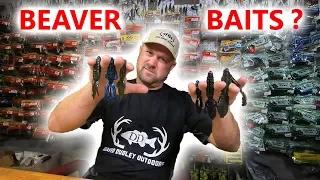 What is a Beaver Bait?  What are best conditions to use!