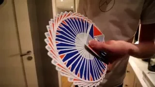 360+ Riffle Fan Tips