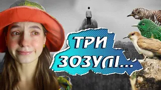 ТЮТЮННИК. КУ-КУ-КУ. 💔 Три зозулі з поклоном.