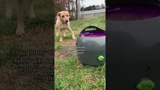 Clever Doggo Uses Machine to Play Fetch with Herself || ViralHog