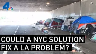 Could the New York Solution to Homelessness Work in LA? | NBCLA