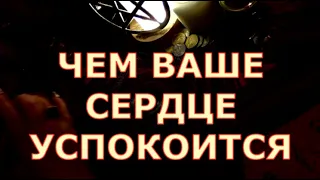 ЧЕМ ВАШЕ СЕРДЦЕ УСПОКОИТСЯ #tarot#shorts#gadanie#таросегодня#тароонлайн