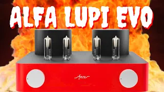 Amplificatore integrato a valvole FEZZ Audio Alfa Lupi EVOLUTION