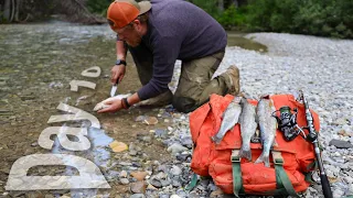 Catch And Cook Cutthroat Trout Day 10 of 30 Day Survival Challenge Canadian Rockies
