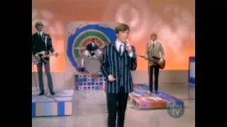 Herman's Hermits: Dandy (Ed Sullivan Show)