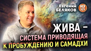 Жива – система целостного движения и восстановления личности