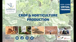 Crop Establishment & Management