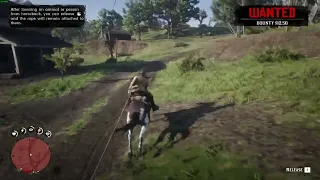 Arthur Asshole Morgan