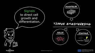 Tissue Engineering Video