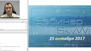 ВЕБИНАР ПО ЭКОНОМИКЕ токена SkyWay/ 25 10 2017