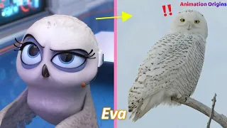 Penguins of Madagascar All Characters In Real Life - What a cute owl!