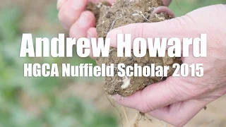 Companion cropping: HGCA Nuffield Scholar