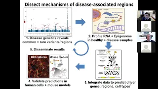 Manolis Kellis on Single-Cell Dissection of Disease Circuitry on January 21, 2021