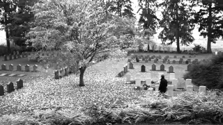 Le Cimetière de Saint-Symphorien