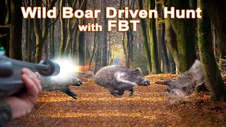 Wild Boar Driven Hunt // 2023