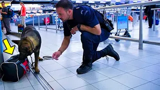 Dog Suddenly Runs Towards A Suitcase. Airport Police Open It and Start To Cry!