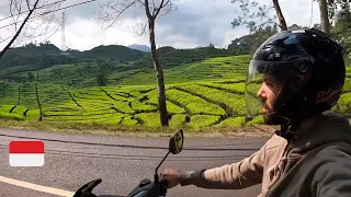 Exploring Bandung's Stunning Tea Plantations in Ciwidey 🇮🇩