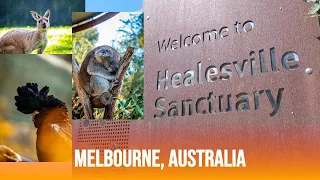 Healesville Sanctuary Melbourne, Australia