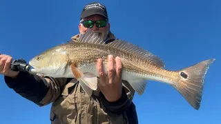 Mosquito Lagoon Fishing Report 12-7-2023