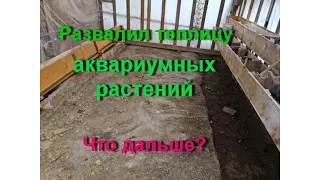 Развалил теплицу аквариумных растений. Что дальше?