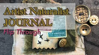 Artist Naturalist Journal Flip Through