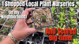 396: Shopped Local Plant Nurseries Close To Home | Great Prices! | Cacti & Succulents | Potting Too