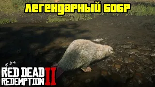 Прохождение RDR 2 на 100% - Легендарный Бобр (Глава 2 - Нагорье Подкова)