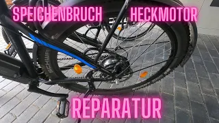 Reparatur Speichenbruch Heckmotor E-Bike Größe bestimmen NCM Moscow Milano