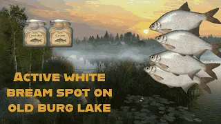 Russian Fishing 4 I Active white bream spot on Old Burg lake I
