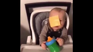 Baby gets cheesed in the face