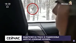 Russian bigfoot sighting caused an accident along Lipkinsky highway in 2018 reported in news