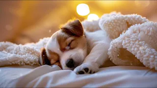 10 HOURS of Dog Calming Music🎵🐶Dog Sleep Music Relax🐶💖Anti Separation Anxiety Relief🎵 Healing Music