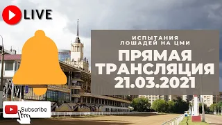 21.03.2021. Прямая трансляция с ЦМИ. Подготовка к летнему сезону.