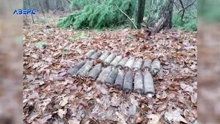 Волинянин знайшов у лісі 19 артилерійських снаряди