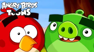 Angry Birds Toons Season 1 | Ep. 31 to 35