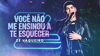 VOCÊ NÃO ME ENSINOU A TE ESQUECER -  ZÉ VAQUEIRO (Vídeo Oficial)