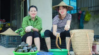 Harvesting Snails & Eels - Going to the Market to Sell Snails - Grow vegetable | My Free Life