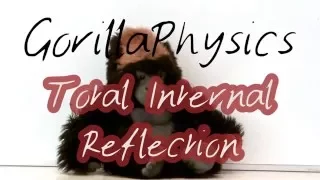 Total Internal Reflection - GCSE and A Level Physics Revision