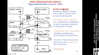 ActInf GuestStream #024.1 ~ Stephen Grossberg, "Explainable and Reliable AI"