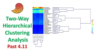 Two-Way Hierarchical Clustering Analysis | Multivariate Analysis | Past 4.11