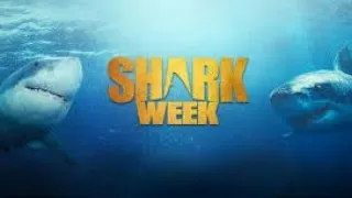 shark  _ Week Film completo in italiano 2012)