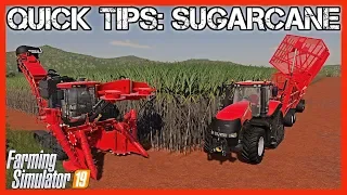 QUICK TIPS: SUGARCANE | Farming Simulator 19