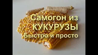 ✅ БУРБОН на кодзи. Быстро и просто. Ставим брагу. Часть 1