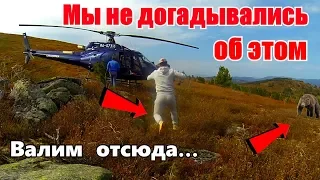 Такого мы не ожидали! Повсюду медведи - валим отсюда/В Алтайскую тайгу на вертолетах/Телецкое озеро